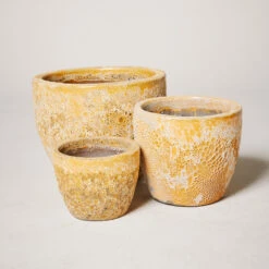 Egg Outdoor Pot β Aquarius Sun